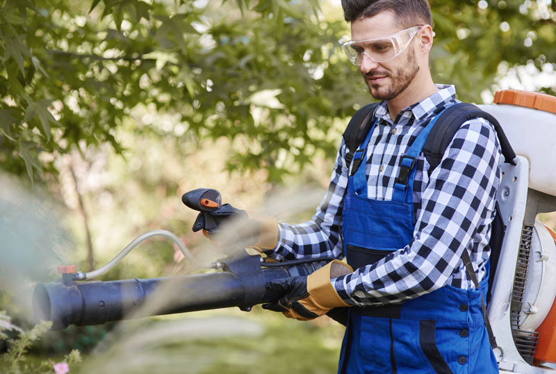 Best Commercial Leaf Blowers